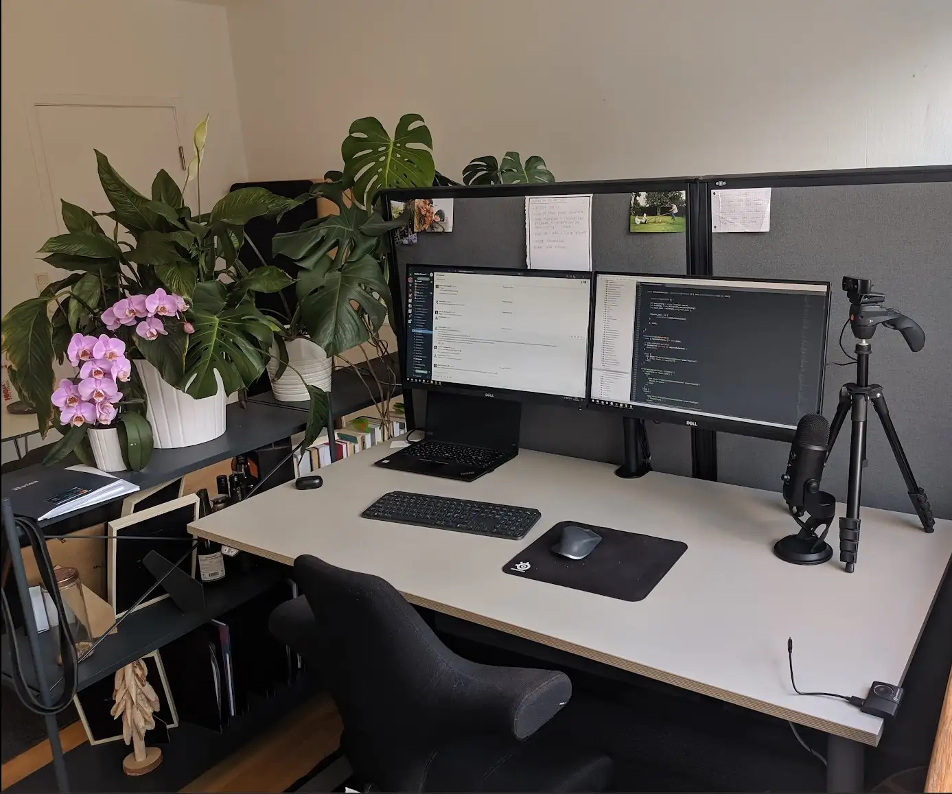 Nogle kalder vores kontor for en jungle, vi kalder det selv for en grøn oase